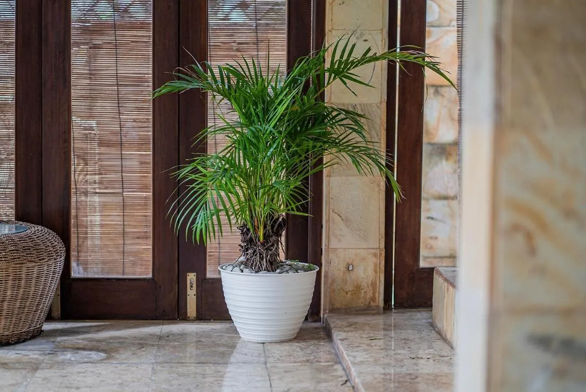Nipper Villa - Spacious 4Br In Canggu 0*, Canggu (Bali)
