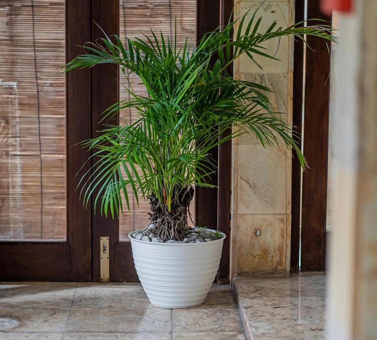 Nipper Villa - Spacious 4Br In Canggu Canggu (Bali)